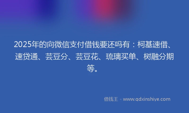 2025年的向微信支付借钱要还吗有：柯基速借、速贷通、芸豆分、芸豆花、琉璃买单、树融分期等。