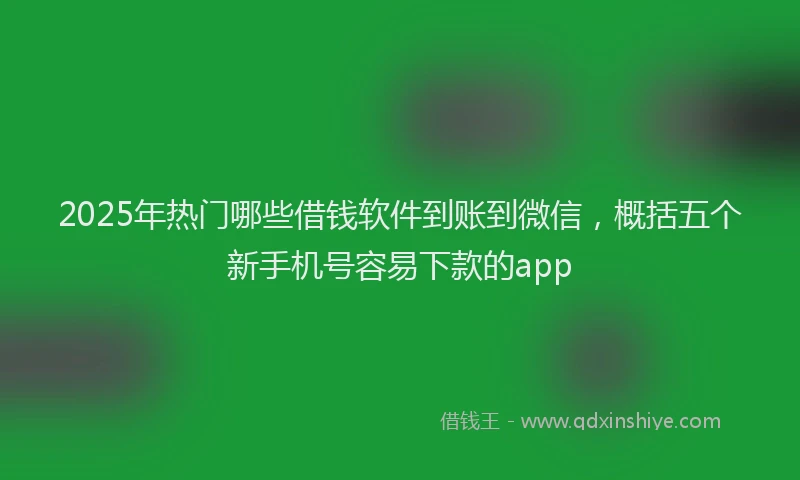 2025年热门哪些借钱软件到账到微信，概括五个新手机号容易下款的app
