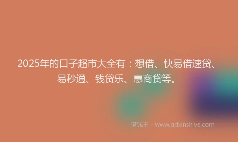 2025年的口子超市大全有：想借、快易借速贷、易秒通、钱贷乐、惠商贷等。