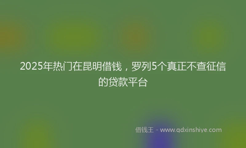 2025年热门在昆明借钱，罗列5个真正不查征信的贷款平台