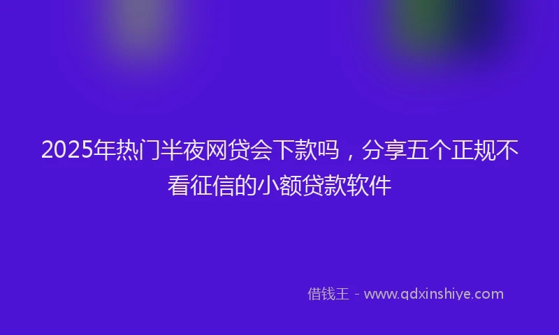 2025年热门半夜网贷会下款吗，分享五个正规不看征信的小额贷款软件