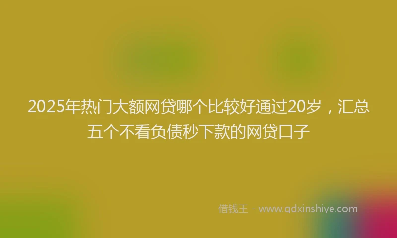 2025年热门大额网贷哪个比较好通过20岁，汇总五个不看负债秒下款的网贷口子