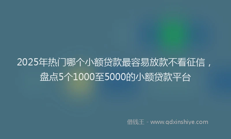 2025年热门哪个小额贷款最容易放款不看征信，盘点5个1000至5000的小额贷款平台