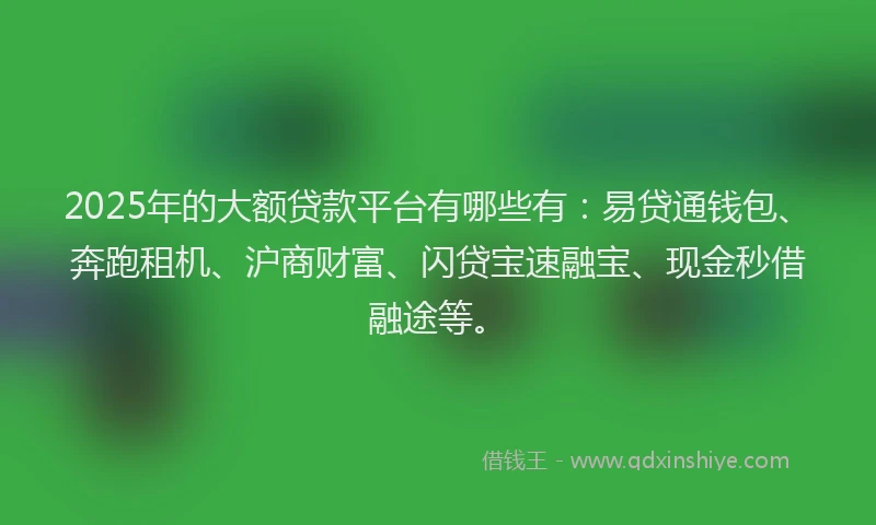 2025年的大额贷款平台有哪些有：易贷通钱包、奔跑租机、沪商财富、闪贷宝速融宝、现金秒借融途等。