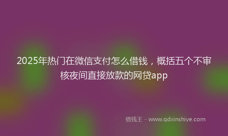 2025年热门在微信支付怎么借钱，概括五个不审核夜间直接放款的网贷app
