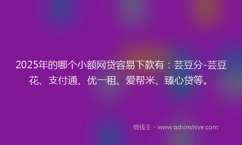 2025年的哪个小额网贷容易下款有：芸豆分-芸豆花、支付通、优一租、爱帮米、臻心贷等。