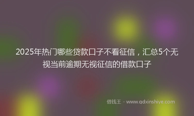 2025年热门哪些贷款口子不看征信，汇总5个无视当前逾期无视征信的借款口子