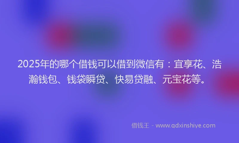 2025年的哪个借钱可以借到微信有：宜享花、浩瀚钱包、钱袋瞬贷、快易贷融、元宝花等。