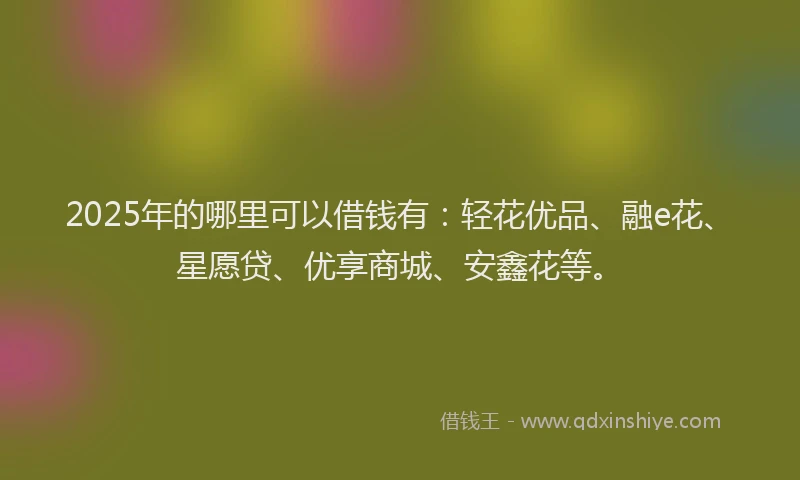 2025年的哪里可以借钱有：轻花优品、融e花、星愿贷、优享商城、安鑫花等。