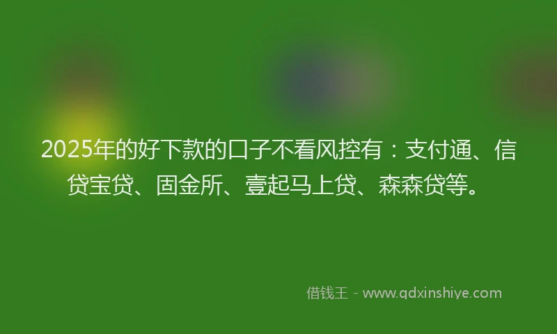 2025年的好下款的口子不看风控有：支付通、信贷宝贷、固金所、壹起马上贷、森森贷等。