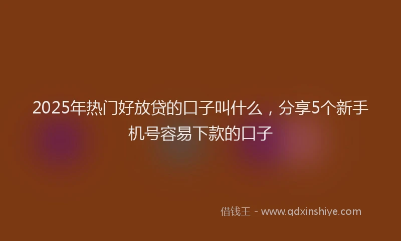 2025年热门好放贷的口子叫什么，分享5个新手机号容易下款的口子