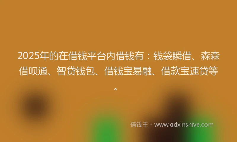 2025年的在借钱平台内借钱有：钱袋瞬借、森森借呗通、智贷钱包、借钱宝易融、借款宝速贷等。