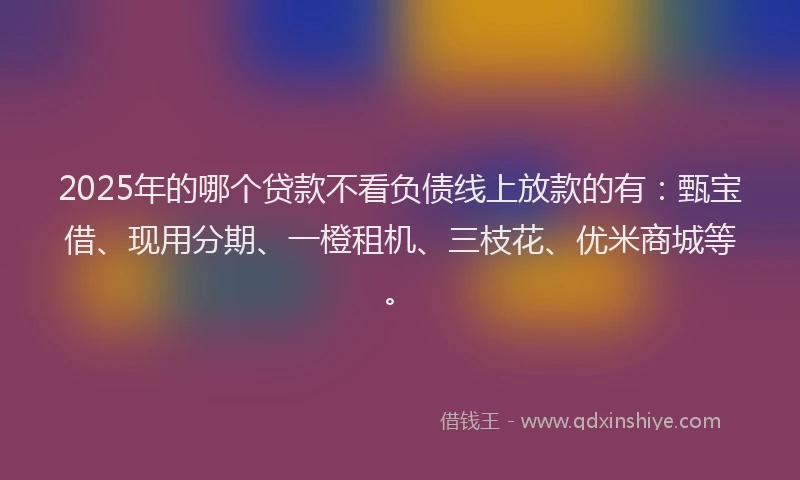 2025年的哪个贷款不看负债线上放款的有：甄宝借、现用分期、一橙租机、三枝花、优米商城等。