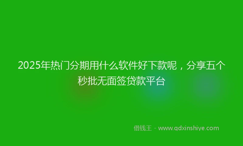 2025年热门分期用什么软件好下款呢，分享五个秒批无面签贷款平台