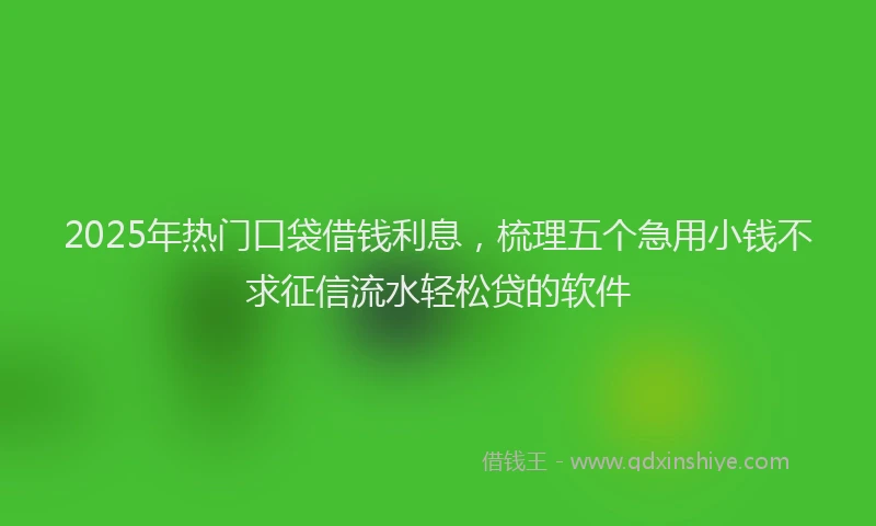 2025年热门口袋借钱利息，梳理五个急用小钱不求征信流水轻松贷的软件