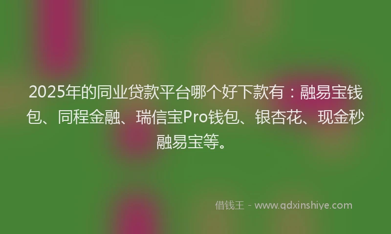 2025年的同业贷款平台哪个好下款有：融易宝钱包、同程金融、瑞信宝Pro钱包、银杏花、现金秒融易宝等。