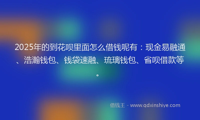 2025年的到花呗里面怎么借钱呢有：现金易融通、浩瀚钱包、钱袋速融、琉璃钱包、省呗借款等。