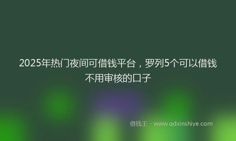 2025年热门夜间可借钱平台，罗列5个可以借钱不用审核的口子