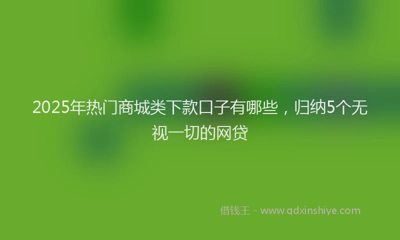 2025年热门商城类下款口子有哪些，归纳5个无视一切的网贷