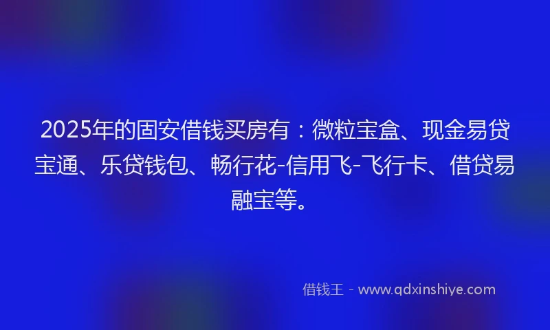 2025年的固安借钱买房有：微粒宝盒、现金易贷宝通、乐贷钱包、畅行花-信用飞-飞行卡、借贷易融宝等。