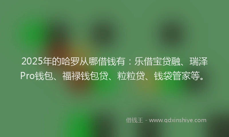 2025年的哈罗从哪借钱有：乐借宝贷融、瑞泽Pro钱包、福禄钱包贷、粒粒贷、钱袋管家等。