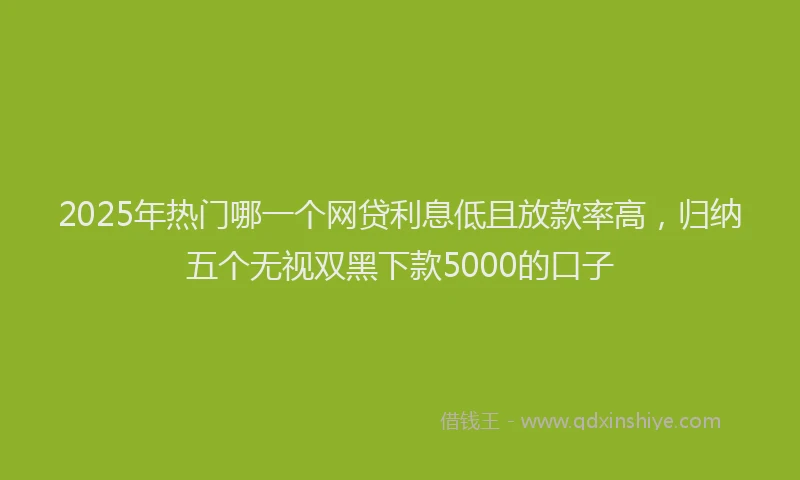 2025年热门哪一个网贷利息低且放款率高，归纳五个无视双黑下款5000的口子
