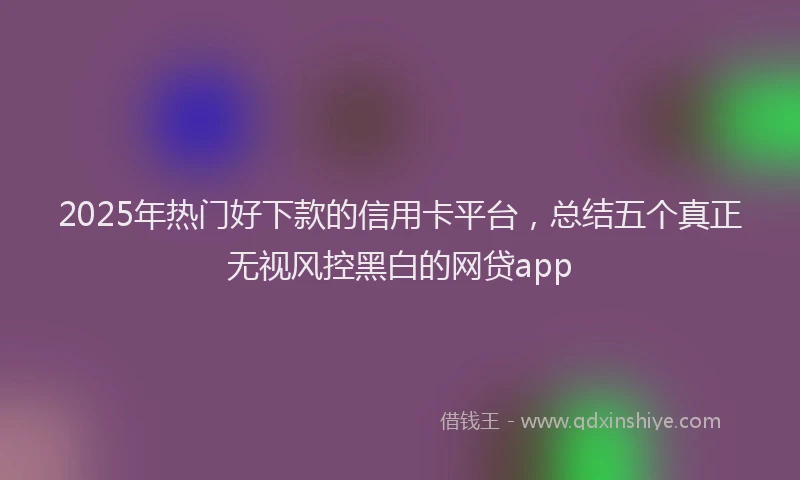 2025年热门好下款的信用卡平台，总结五个真正无视风控黑白的网贷app