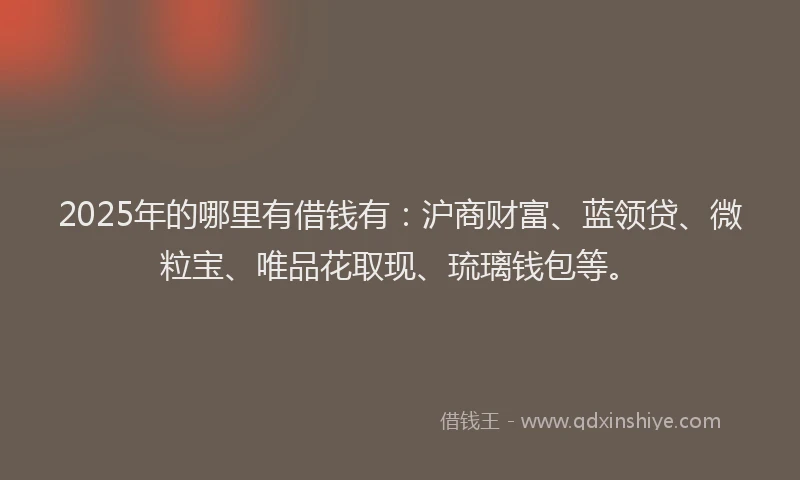 2025年的哪里有借钱有：沪商财富、蓝领贷、微粒宝、唯品花取现、琉璃钱包等。
