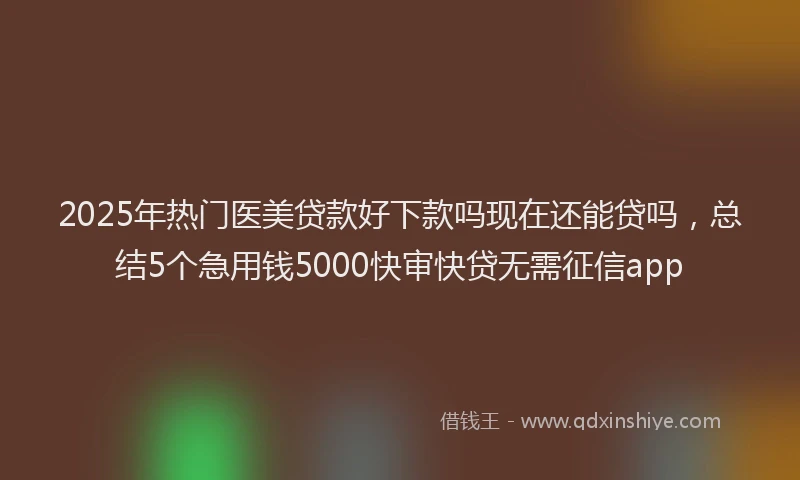 2025年热门医美贷款好下款吗现在还能贷吗，总结5个急用钱5000快审快贷无需征信app
