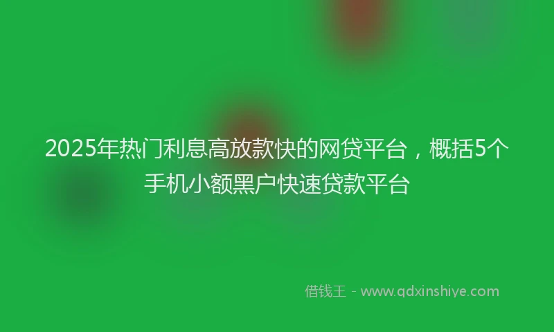 2025年热门利息高放款快的网贷平台，概括5个手机小额黑户快速贷款平台