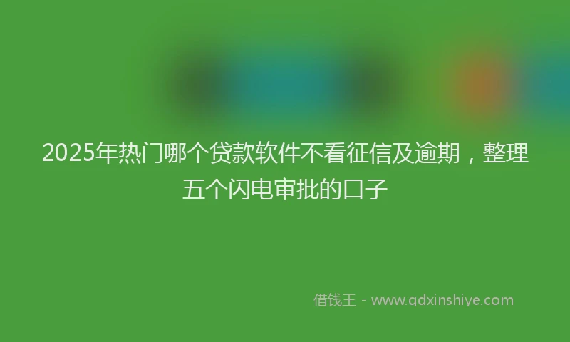 2025年热门哪个贷款软件不看征信及逾期，整理五个闪电审批的口子