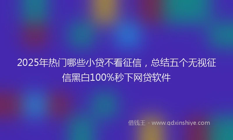 2025年热门哪些小贷不看征信，总结五个无视征信黑白100%秒下网贷软件