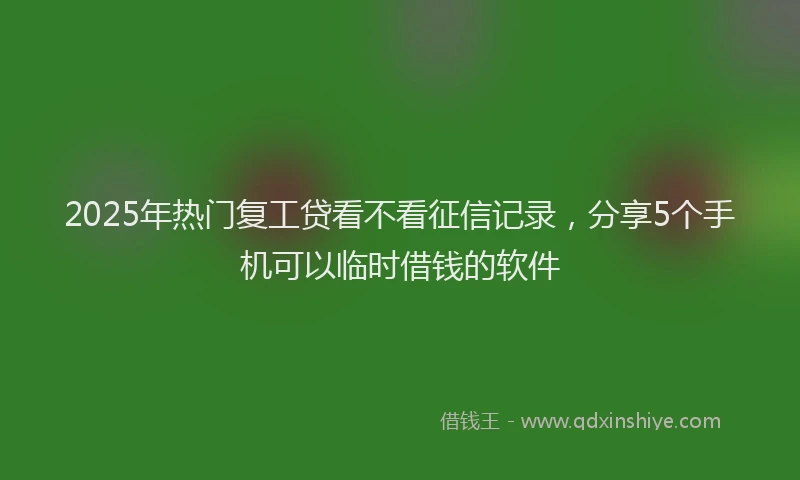 2025年热门复工贷看不看征信记录，分享5个手机可以临时借钱的软件