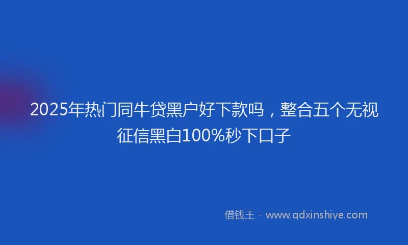 2025年热门同牛贷黑户好下款吗，整合五个无视征信黑白100%秒下口子