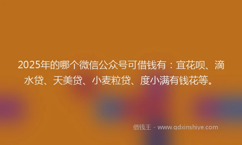 2025年的哪个微信公众号可借钱有：宜花呗、滴水贷、天美贷、小麦粒贷、度小满有钱花等。