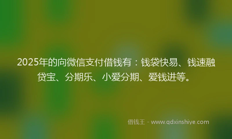 2025年的向微信支付借钱有：钱袋快易、钱速融贷宝、分期乐、小爱分期、爱钱进等。