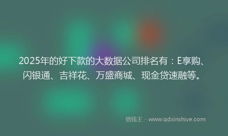 2025年的好下款的大数据公司排名有：E享购、闪银通、吉祥花、万盛商城、现金贷速融等。