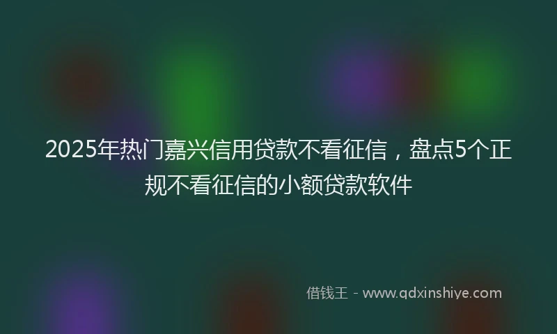 2025年热门嘉兴信用贷款不看征信，盘点5个正规不看征信的小额贷款软件