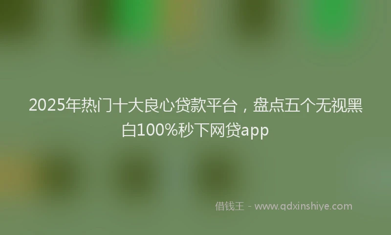 2025年热门十大良心贷款平台，盘点五个无视黑白100%秒下网贷app
