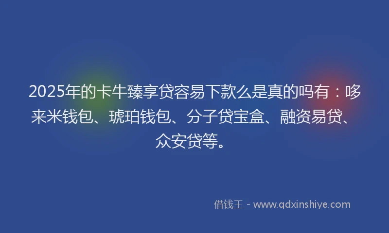 2025年的卡牛臻享贷容易下款么是真的吗有：哆来米钱包、琥珀钱包、分子贷宝盒、融资易贷、众安贷等。