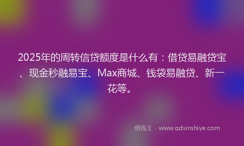 2025年的周转信贷额度是什么有：借贷易融贷宝、现金秒融易宝、Max商城、钱袋易融贷、新一花等。