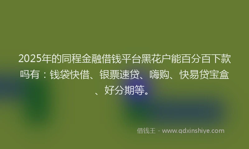 2025年的同程金融借钱平台黑花户能百分百下款吗有：钱袋快借、银票速贷、嗨购、快易贷宝盒、好分期等。