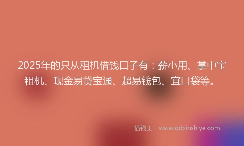 2025年的只从租机借钱口子有：薪小用、掌中宝租机、现金易贷宝通、超易钱包、宜口袋等。