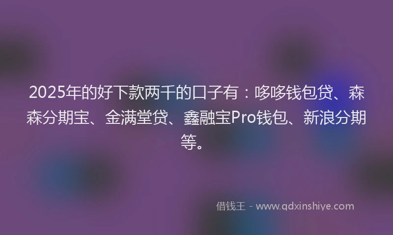 2025年的好下款两千的口子有：哆哆钱包贷、森森分期宝、金满堂贷、鑫融宝Pro钱包、新浪分期等。