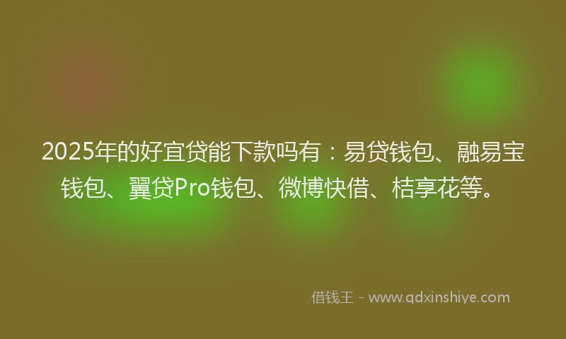 2025年的好宜贷能下款吗有：易贷钱包、融易宝钱包、翼贷Pro钱包、微博快借、桔享花等。