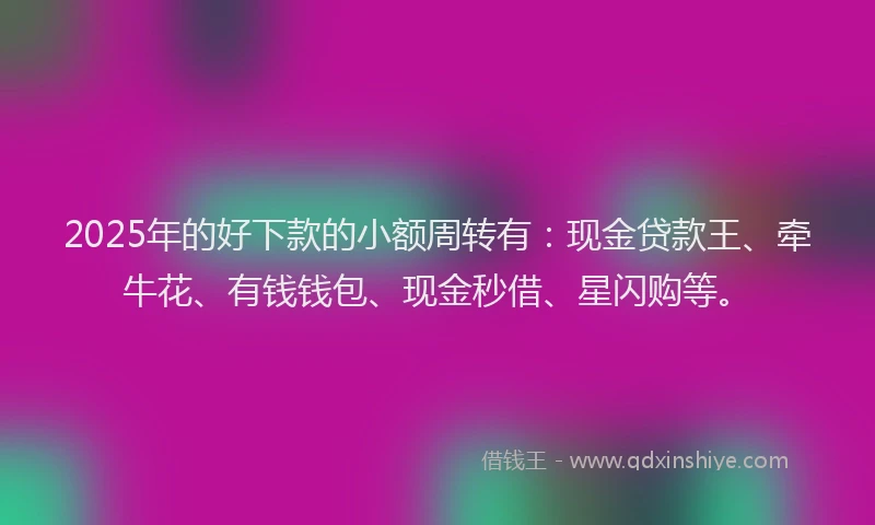 2025年的好下款的小额周转有：现金贷款王、牵牛花、有钱钱包、现金秒借、星闪购等。