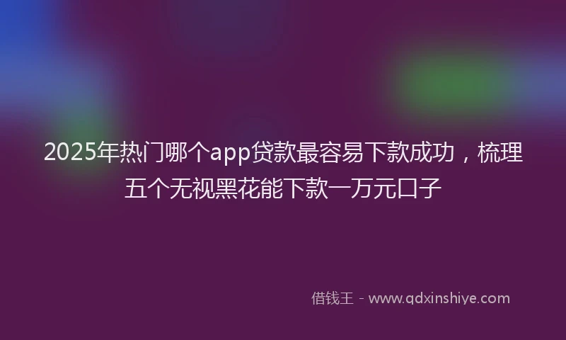2025年热门哪个app贷款最容易下款成功，梳理五个无视黑花能下款一万元口子
