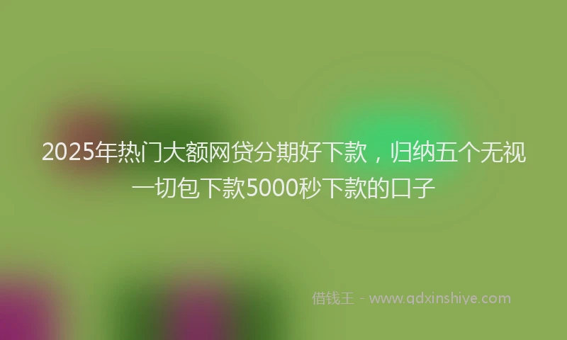2025年热门大额网贷分期好下款，归纳五个无视一切包下款5000秒下款的口子