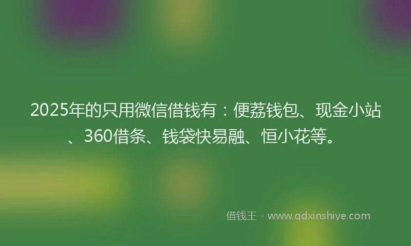 2025年的只用微信借钱有：便荔钱包、现金小站、360借条、钱袋快易融、恒小花等。