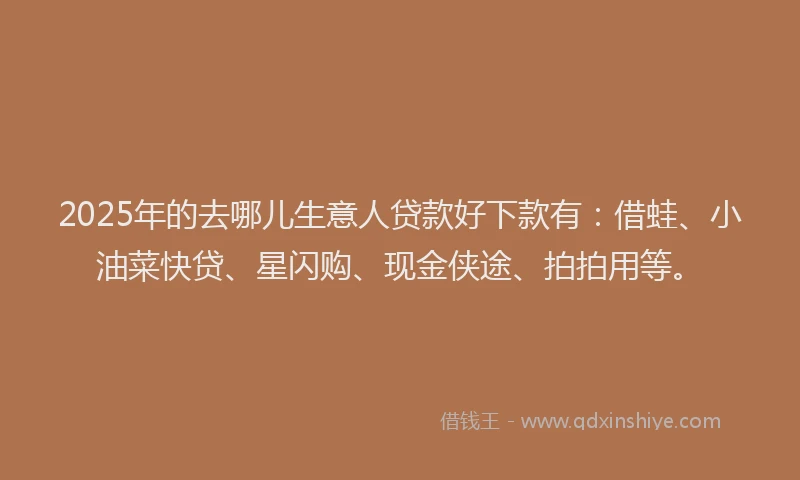 2025年的去哪儿生意人贷款好下款有：借蛙、小油菜快贷、星闪购、现金侠途、拍拍用等。